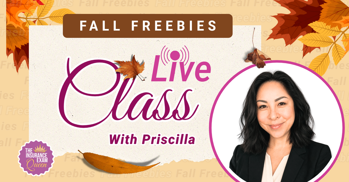 Fall Freebie Oct 27th - Vocab Study Game