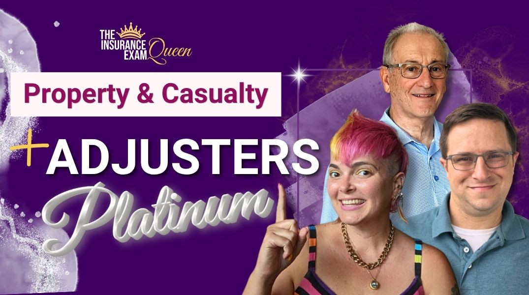 P&C + Adjusters Platinum